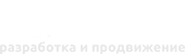 Разработка и продвижение сайтов